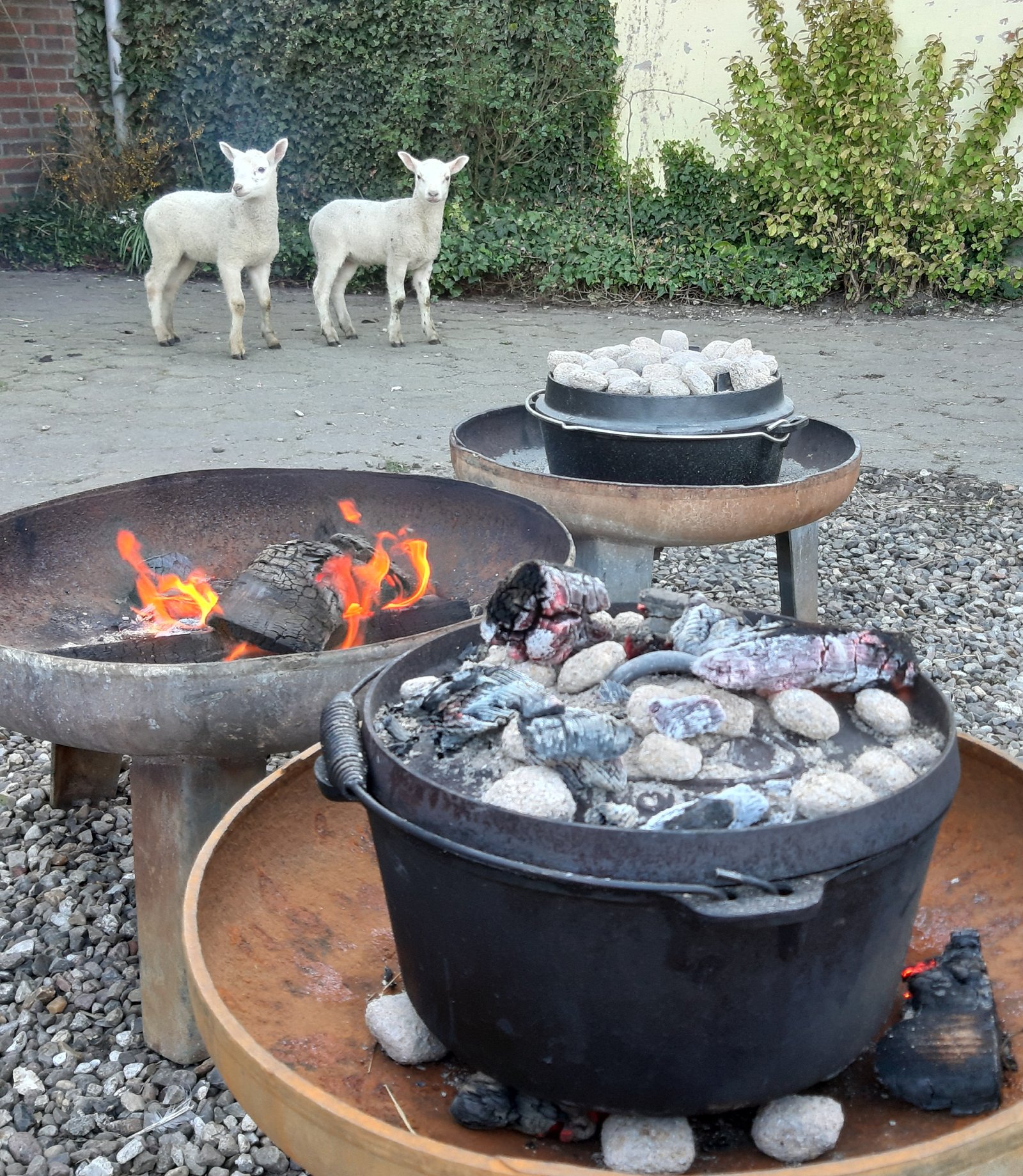Dutch Ovens - Workshop - Bonfire - Bålmad - Food